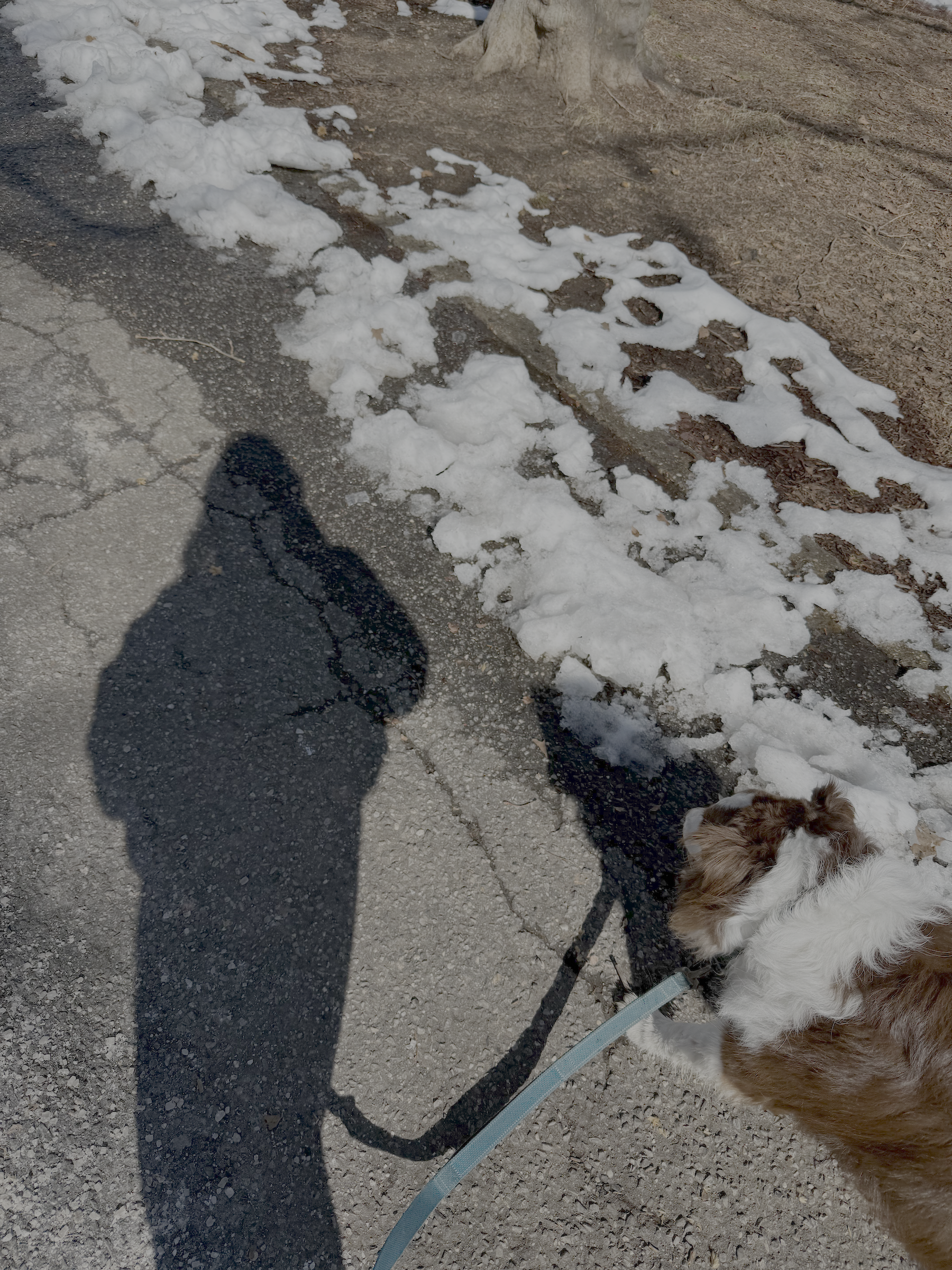 description of image